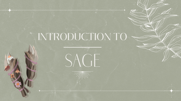 Introduction to Sage - SpectrumStore SG