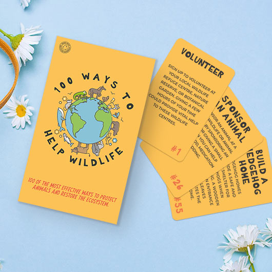 100 Ways to Help Wildlife Cards