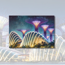 Singapore Postcard - Flower Dome