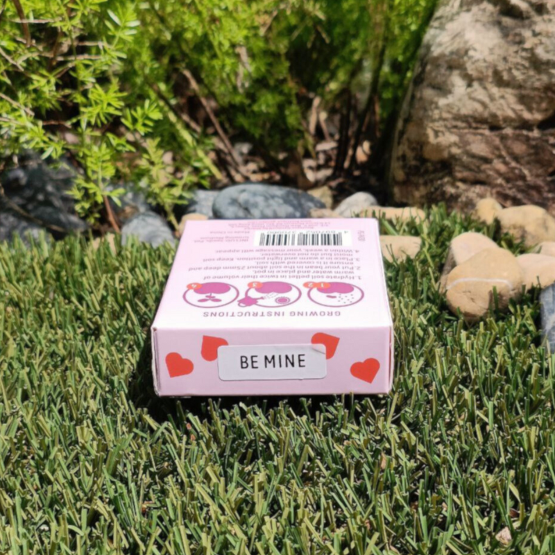 Grow Your Own Kits: Mini Rose Heart