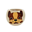 Grow Your Own Kits - Adopt A Puppy