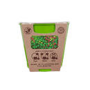 Climbing Flowers - Nasturium