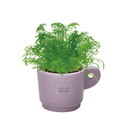 Colour Me Up Mug - Purple - Mild Chamomile