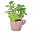 Colour Me Up Mug - Pink - Wild Strawberry