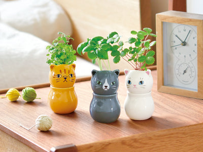 Corocoro Cat Growing Kit - Basil