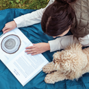 Forest Floor Extra Large Outdoor - Blue