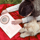 Forest Floor Extra Large Outdoor - Red