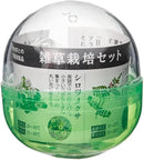 Green Capsule - Assorted Herb (1 Piece)