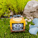 Grow Your Own Kits - African Animals