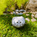 Grow Your Own Kits - African Animals