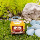 Grow Your Own Kits - African Animals