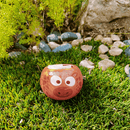 Grow Your Own Kits - African Animals