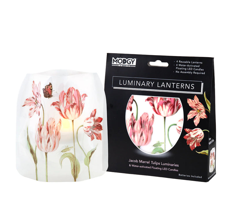 Luminary Lanterns - Jacob Marrell Tulips