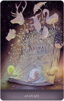 Land of Giants Oracle