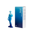 Statue - David Michelangelo