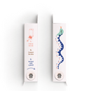 Connect the Dots - Zoo