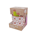 Succulent Collection: Cactus