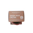 Succulent Collection: Cactus