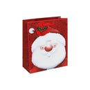 Glitter Gift Bag - Xmas Santa