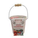 Zinc Pot Wooden Handle - Strawberries