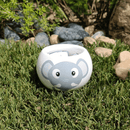 Grow Your Own Kits - Jungle Adventure