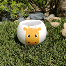 Grow Your Own Kits - Jungle Adventure