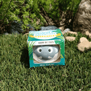 Grow Your Own Kits - Jungle Adventure