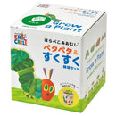 Grow a Plant - Stick up & Grow up - The Very Hungry Caterpillar - Lettuce - SpectrumStore SG