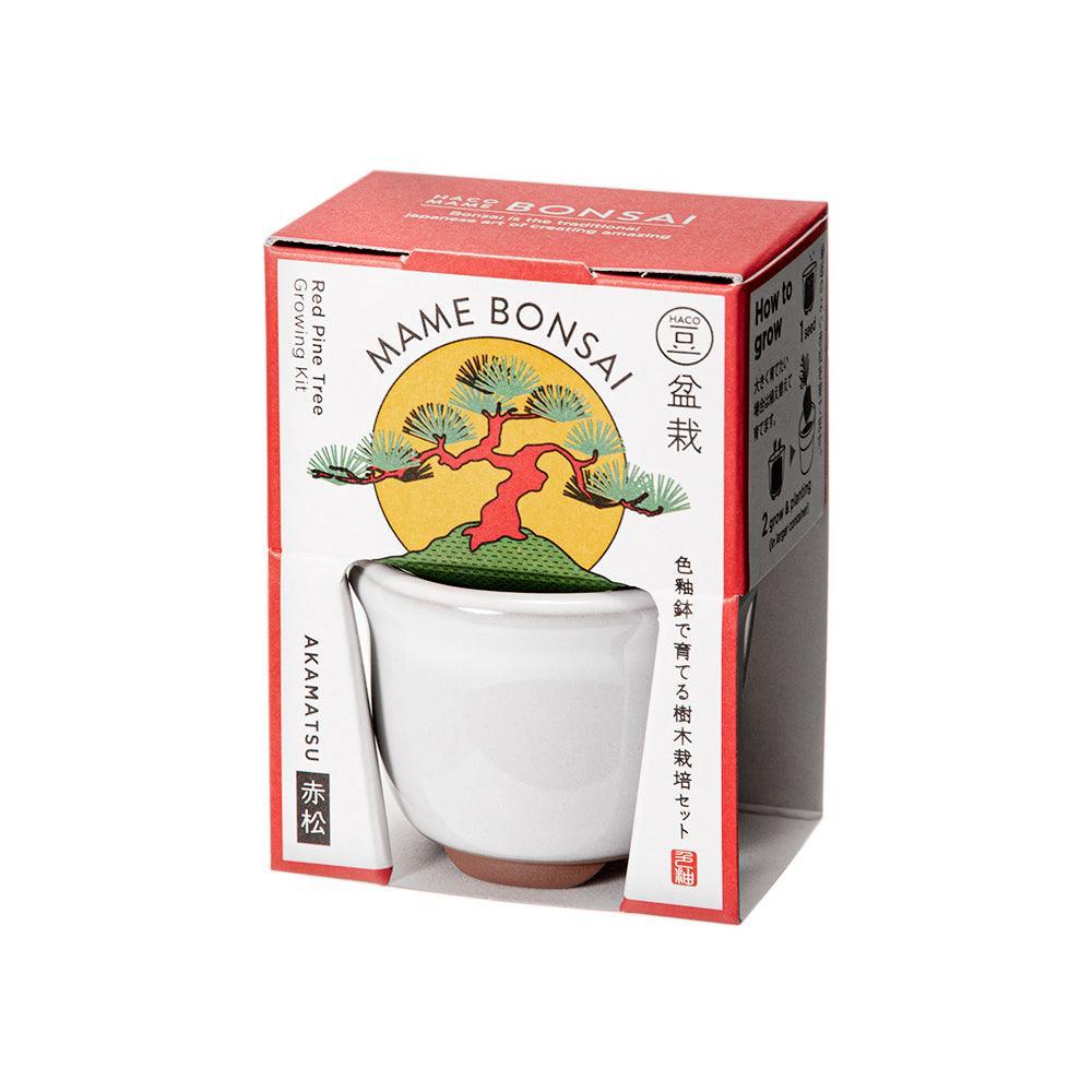 haco-mame-bonsai-growing-kit-