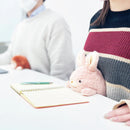 Posture Pal - Rabbit