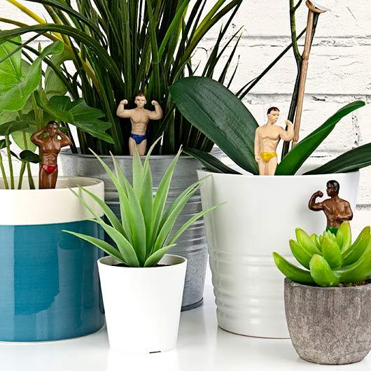 Plant Pot Mini: Hunk Planters - SpectrumStore SG