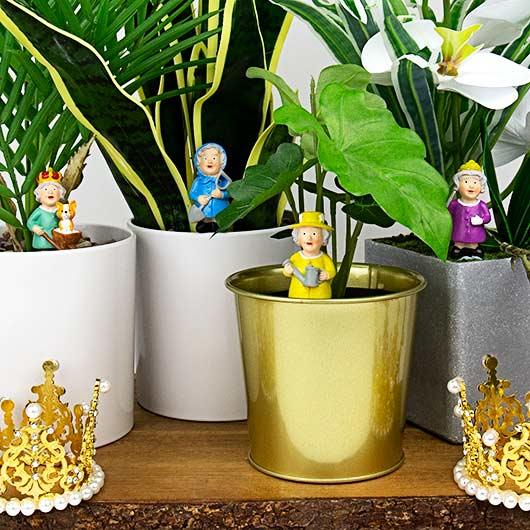 Plant Pot Mini: Royal Gardeners - SpectrumStore SG