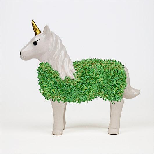 Planter: Unicorn Chia Pet - SpectrumStore SG