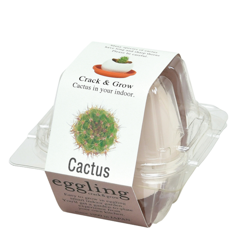 Eggling (Clear Package) - Cactus