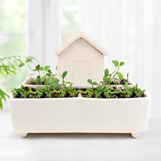 Self Watering House - Herb Garden Grow Kit
