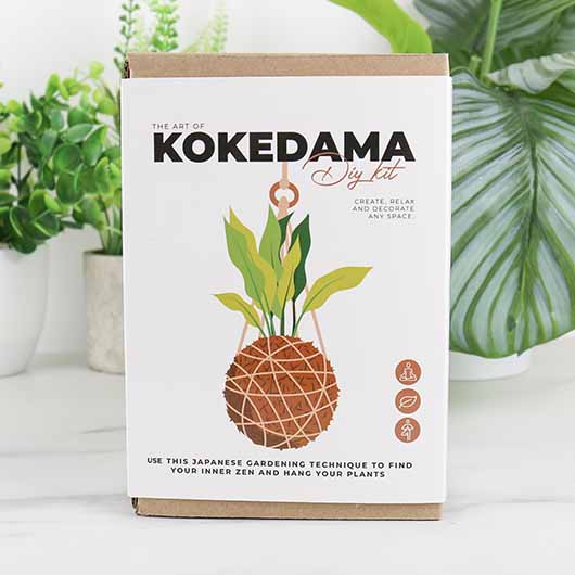 The Art of Kokedama DIY Kit