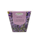 Ceramic Pot - Lavender - SpectrumStore SG