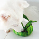 Chinese Bak Zhang Dumpling Squeaker Chew Toy - SpectrumStore SG