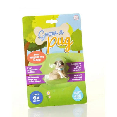 Grow A Pug - SpectrumStore SG