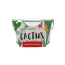 Mini Zinc Basin: Cactus - SpectrumStore SG