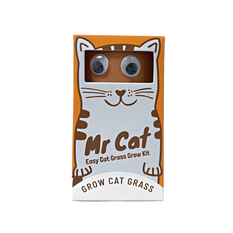 Mr.Cat - Grow Cat Grass - SpectrumStore SG
