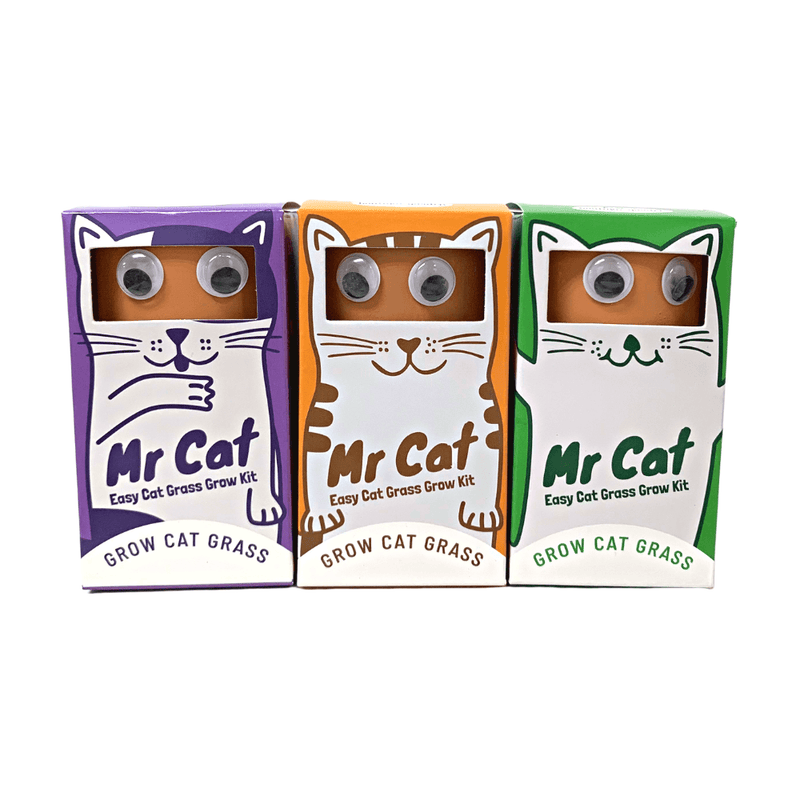 Mr.Cat - Grow Cat Grass - SpectrumStore SG