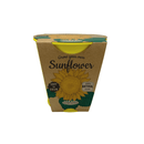 Pastel Coloured Pots With Chalk: Sunflower - SpectrumStore SG