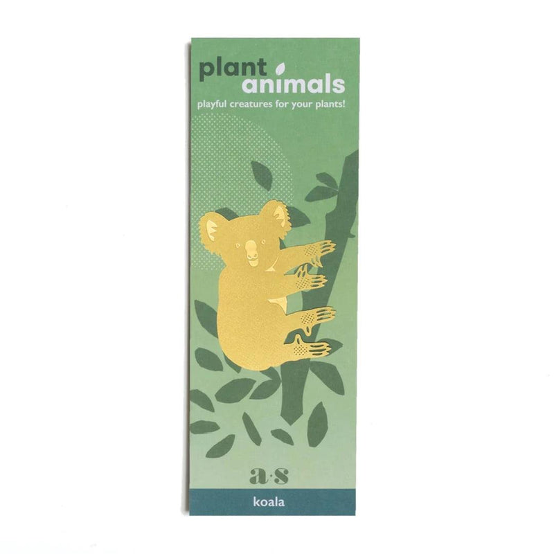Plant Animals: Koala - SpectrumStore SG
