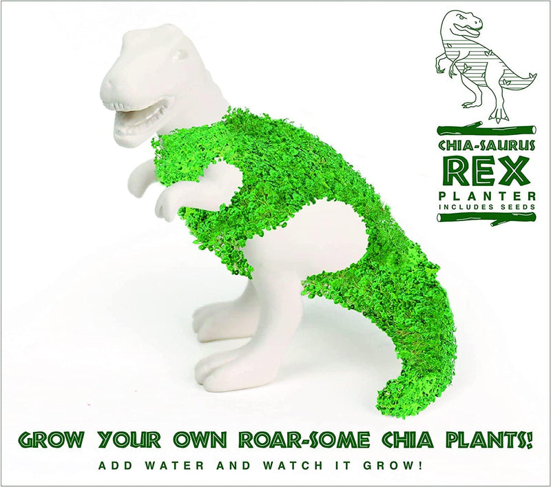 Planter: Chia-saurus-rex - Seeds - SpectrumStore SG