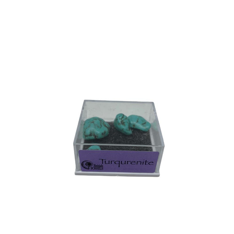 Rocks And Minerals (Small Box) - SpectrumStore SG