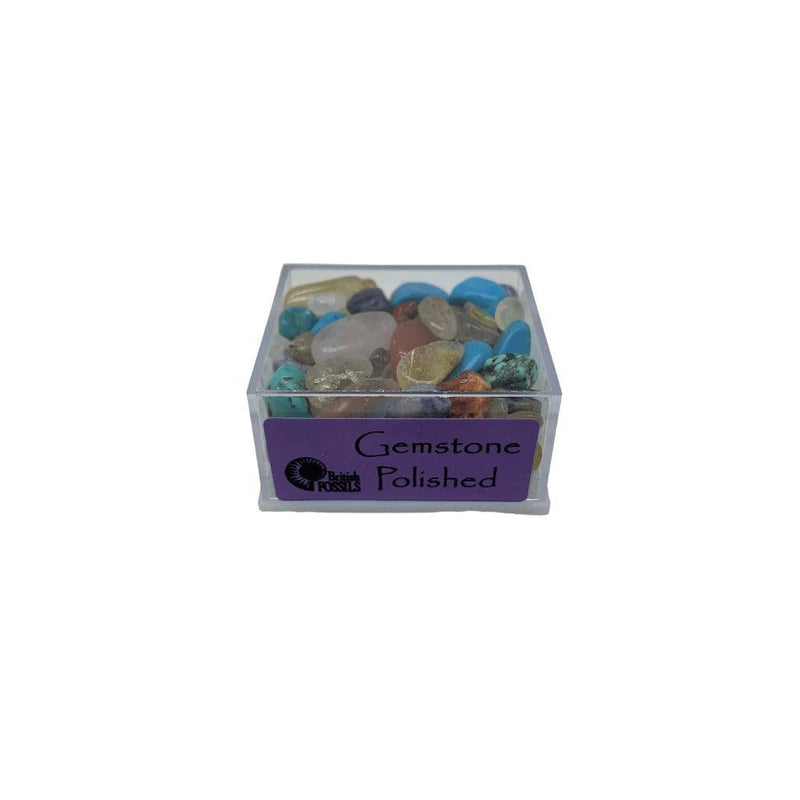 Rocks And Minerals (Small Box) - SpectrumStore SG