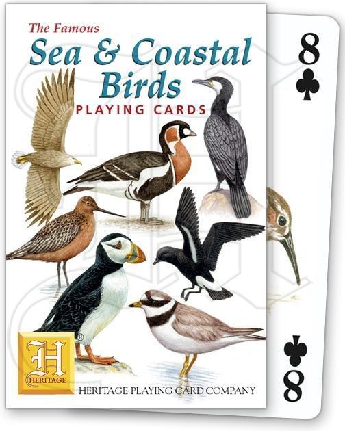 Sea & Coastal Birds - SpectrumStore SG