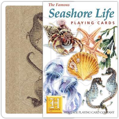 Seashore Life - SpectrumStore SG