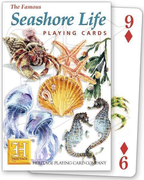 Seashore Life - SpectrumStore SG